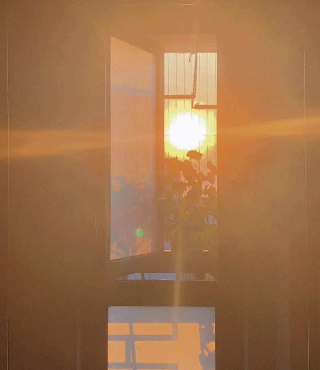 阳光的文案干净治愈短句（光积极向上的软文）