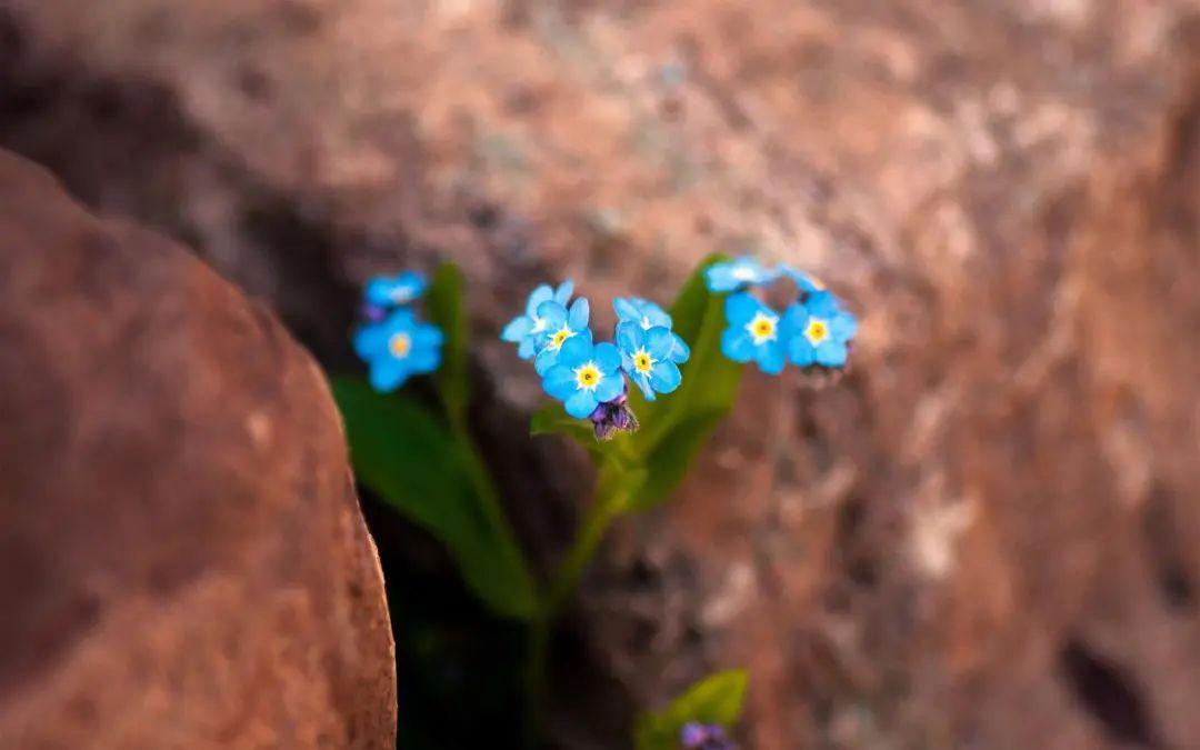 老公生日文案短句干净暖心（老公生日感悟唯美句子）
