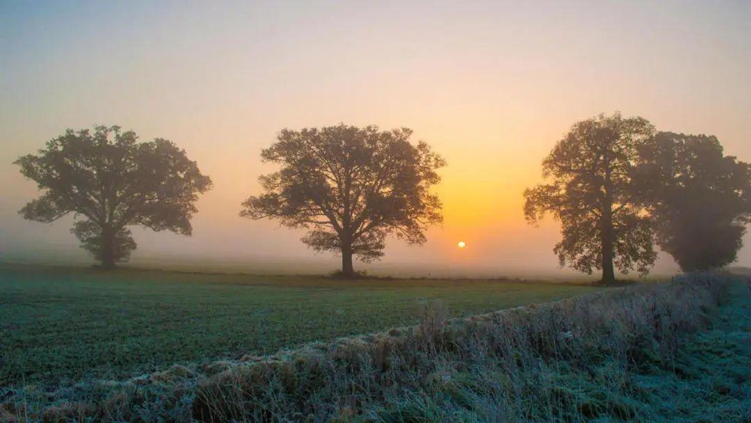 乔迁文案朋友圈简短精辟（恭贺新居乔迁的祝福语）