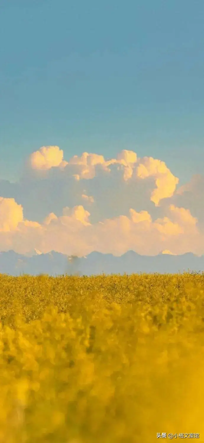 今日文案朋友圈干净治愈（沐浴阳光的心情短句）
