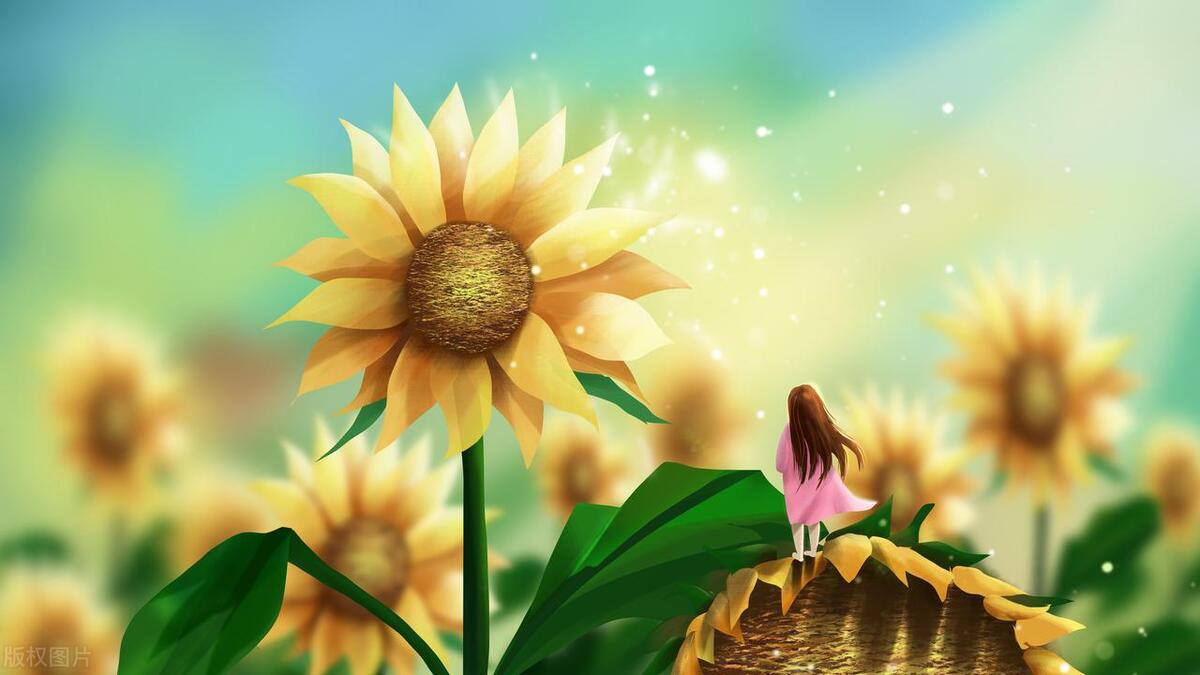 累的文案简短高情商短句（高情商累的伤感幽默句子）