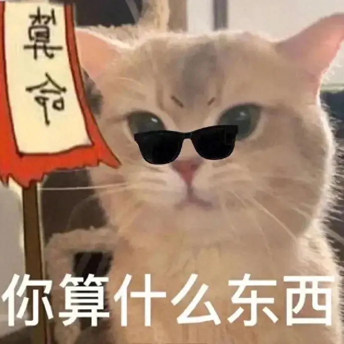 拽姐文案高级感沙雕句子(很拽的抖音文案短句)