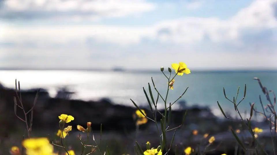 关于家的文案经典句子（一家人温馨句子简短说说）