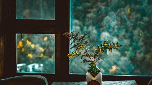 小众文案高级惊艳励志（释然高质量治愈系文案）