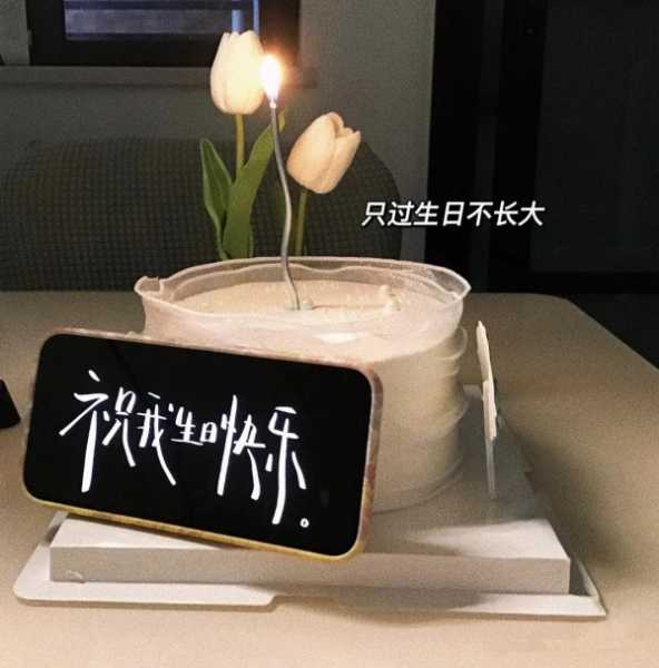 生日发朋友圈必火的句子（高级又沙雕的生日祝福语）