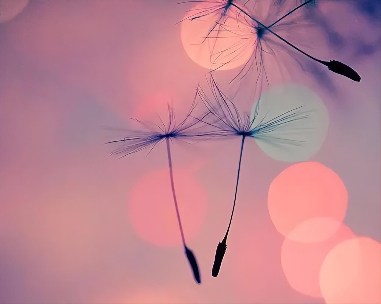 有趣的销售文案句子短句（卖货销售爆单经典句子）