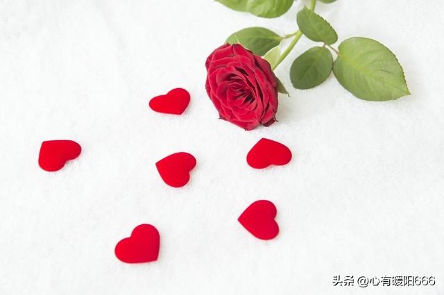 一个文案一个情感故事感慨（情感故事文案素材配图）