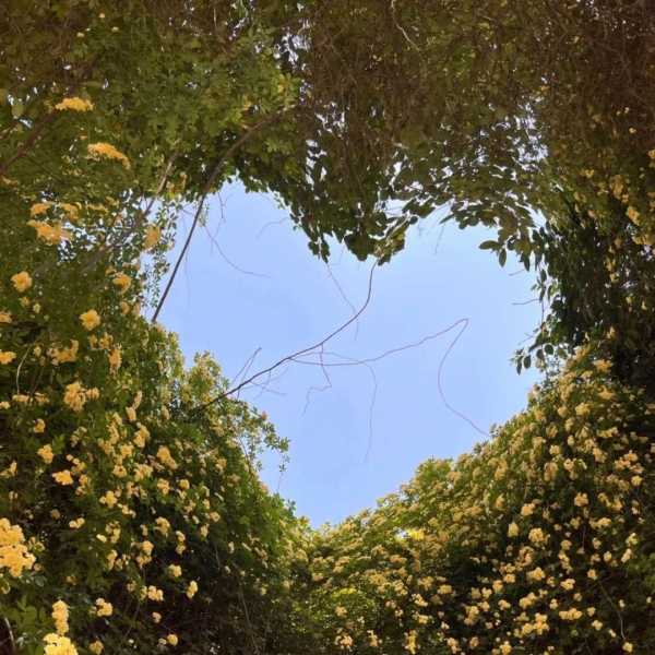 恋爱甜甜的文案短句温柔（小众却惊艳的浪漫文案）