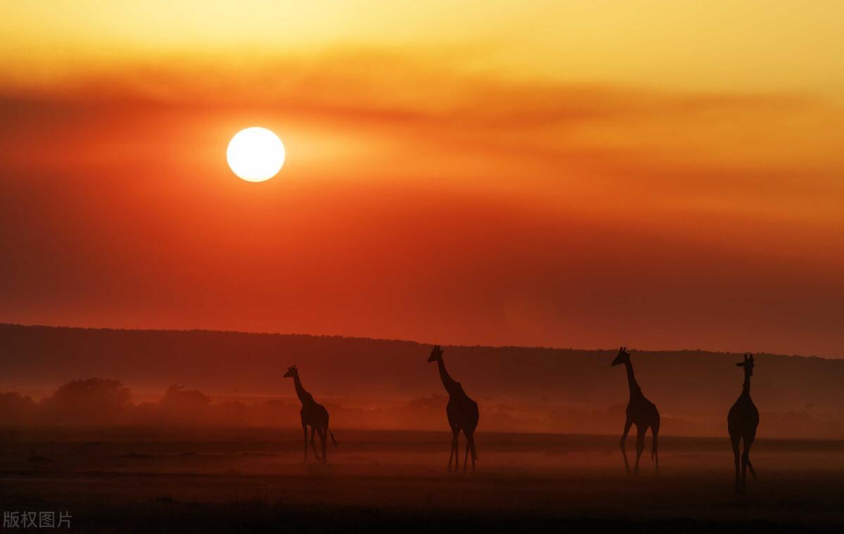 推广引流吸引人的标题(抖音吸引人的文案句子)
