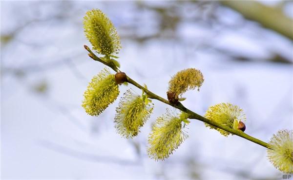 心情失落伤感句子短句（特别伤感的微信说说）
