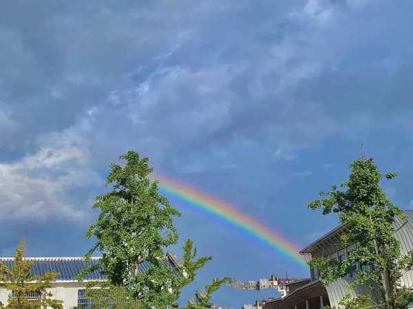 学习励志文案短句干净治愈（36条学习励志文案）