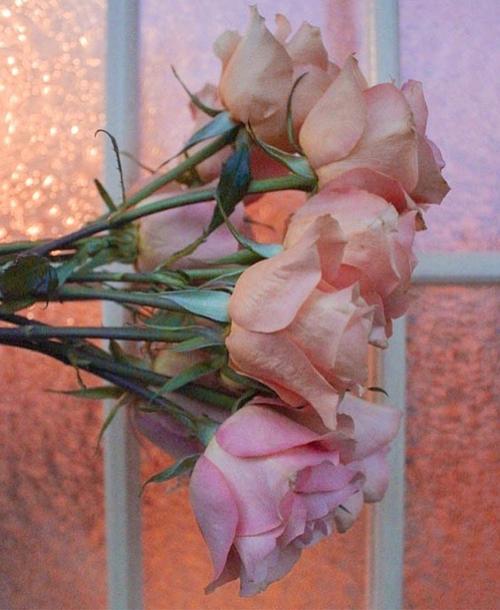 小公主俏皮可爱的文案（可爱到爆的俏皮句子）