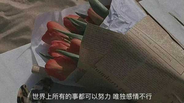 文案短句高质量伤感成熟（适合发朋友圈伤感短句）