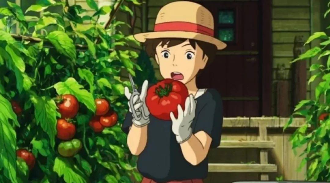 发日常的朋友圈文案搞怪(记录日常生活文案简短)