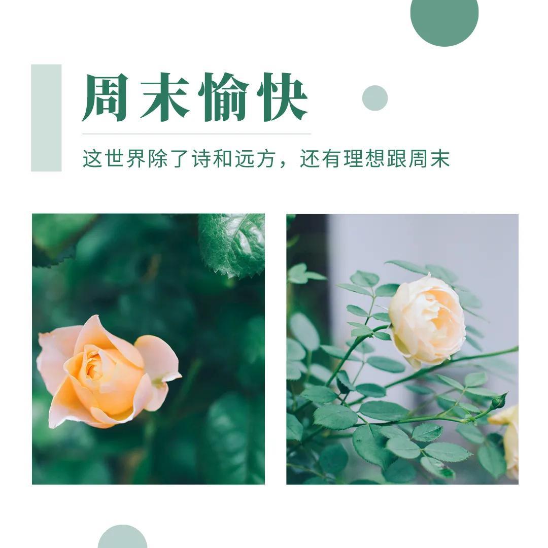 周末朋友圈文案简短幽默(周末文案温暖治愈短句)