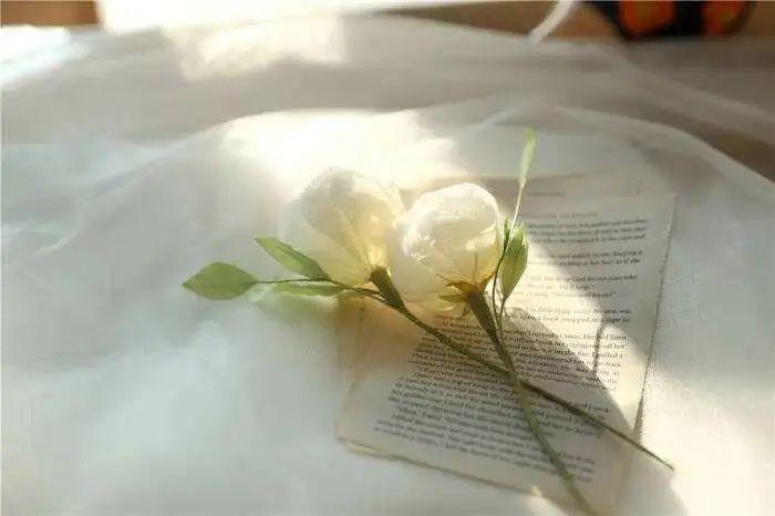 两岁宝宝生日发朋友圈搞怪（2岁生日简短走心的句子）