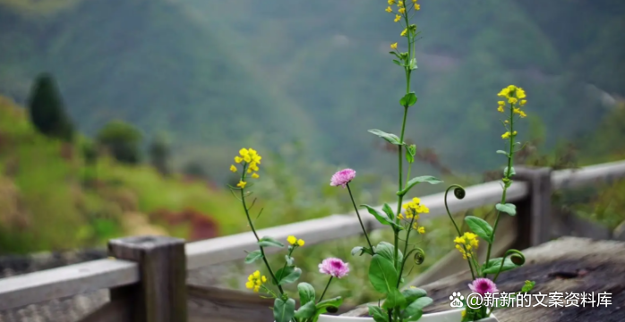 朋友圈文案生活美好正能量（享受生活的哲理句子）