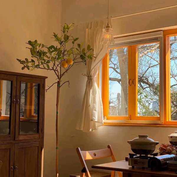 久别重逢的朋友相聚的句子（关于重逢的优美句子）