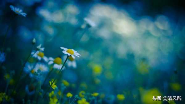 可爱低调帅哥文案吸引人句子(夸一个人很帅的文采句子)