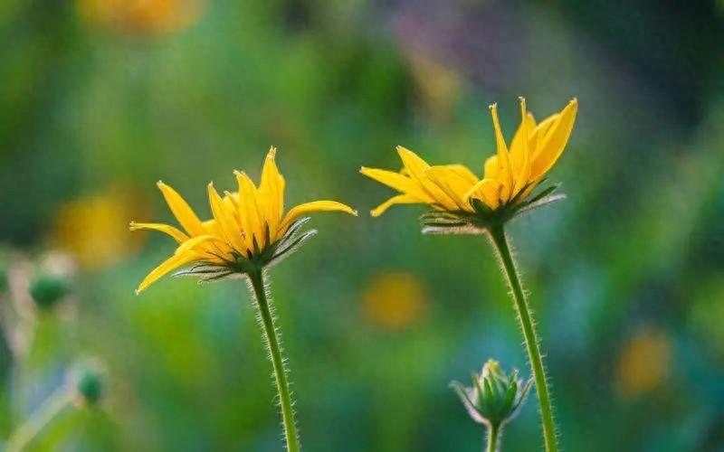 生活美好的朋友圈心情说说(记录生活小美好的文案)