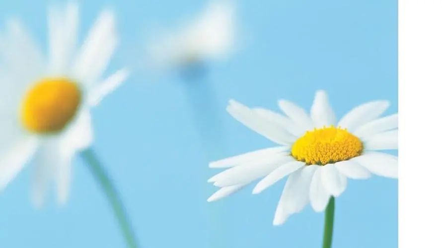 适合男孩满月发的朋友圈（祝福满月婴儿祝福的话）