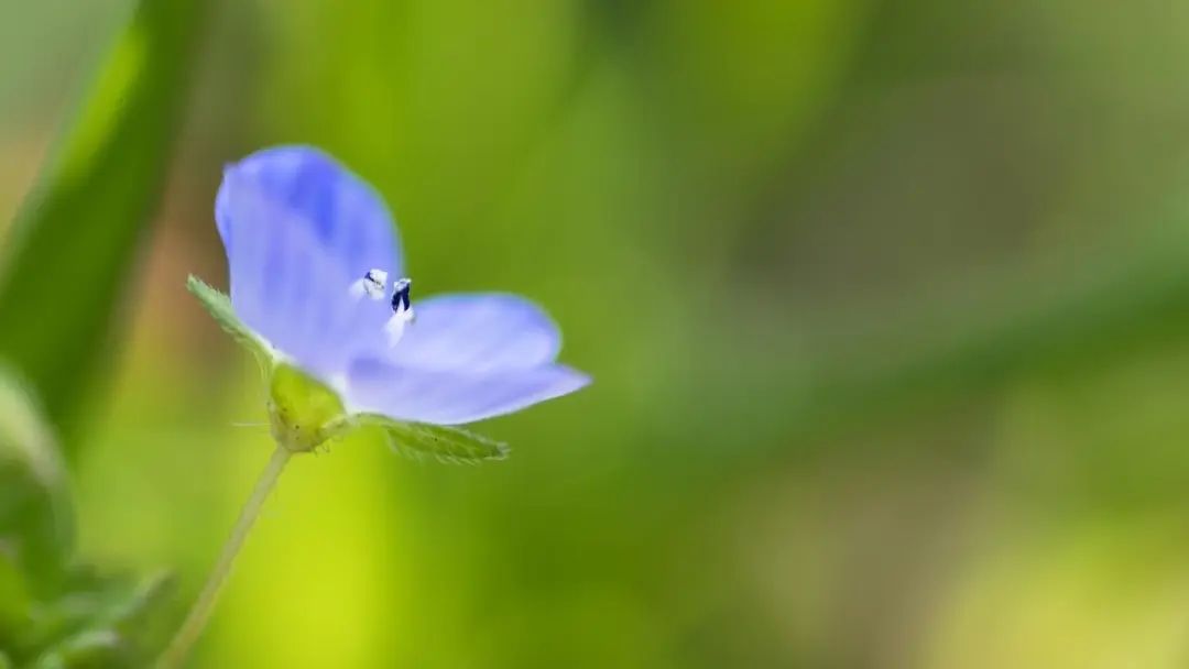 咖啡文案暖心句子朋友圈（早安风趣俏皮的暖心话）