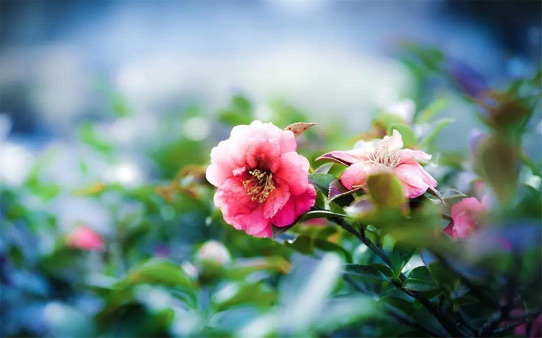 上班文案短句干净治愈搞笑（工作朋友圈正能量句子）