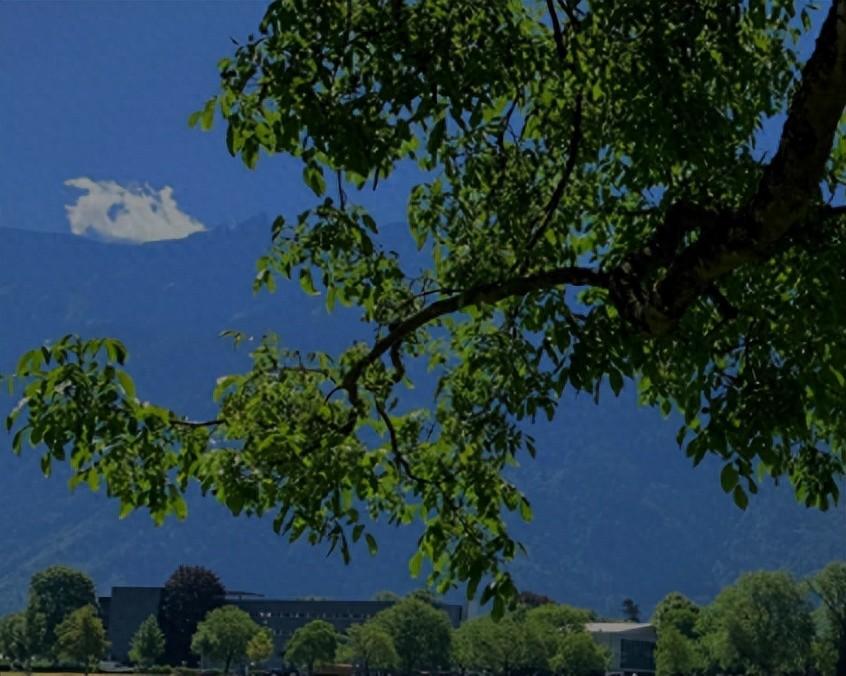 励志的文案短句干净治愈（充满希望和励志的文案）