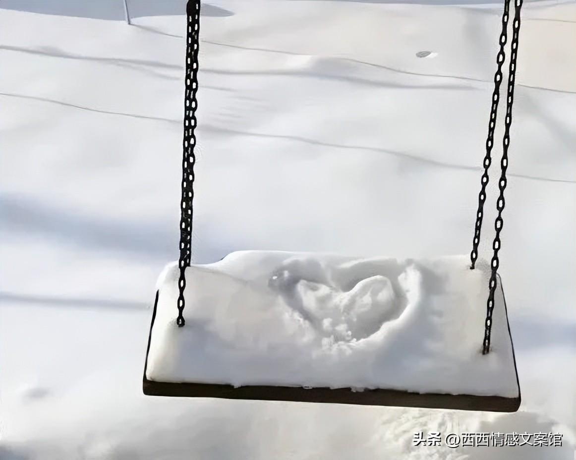 关于猫的文案朋友圈说说(猫咪治愈心情的短句)