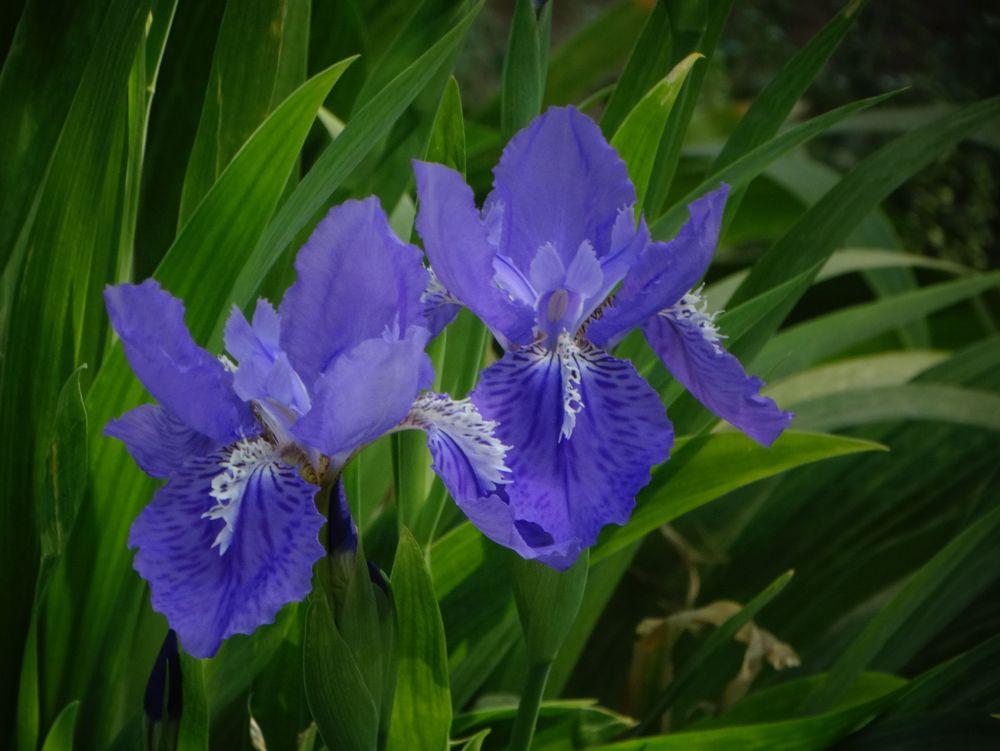 四十岁生日致自己一段话（30到40岁生日祝福语）