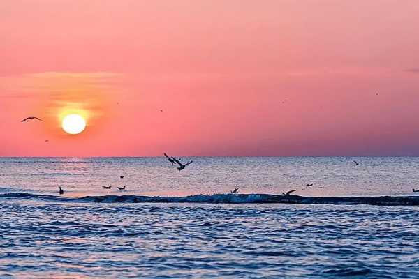 海边日出的文案朋友圈(关于日出说说心情短语)