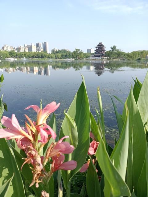 男生朋友圈文案干净短句（成熟稳重男人高质量文案）