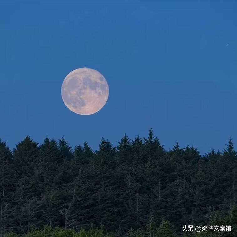 特别伤感的文案句子朋友圈（30句特别伤感的遗憾文案）