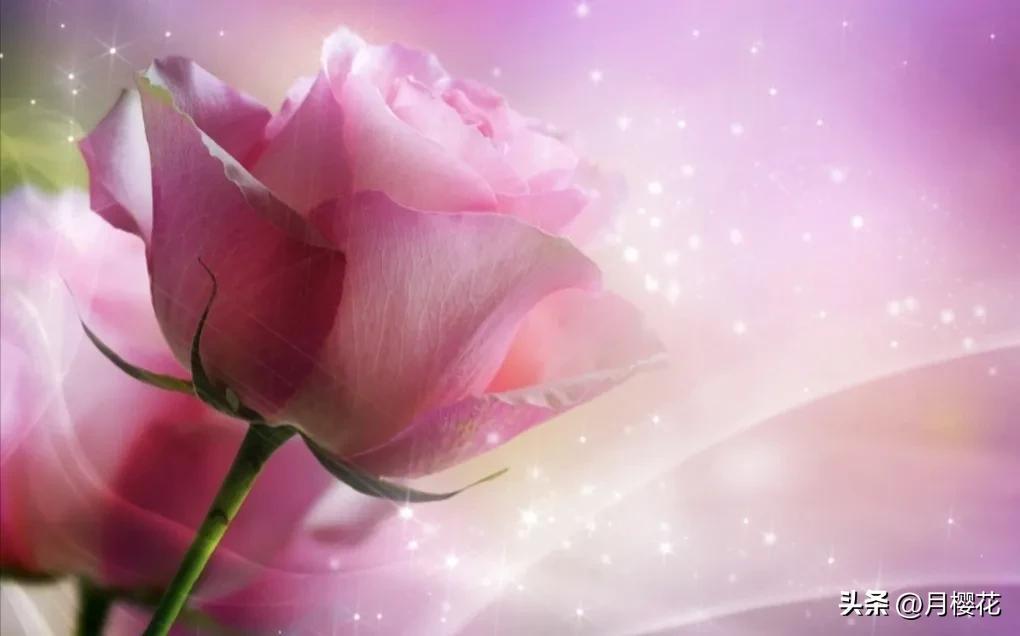 深情文案简短高质量朋友圈（深情文案爱情句子伤感）