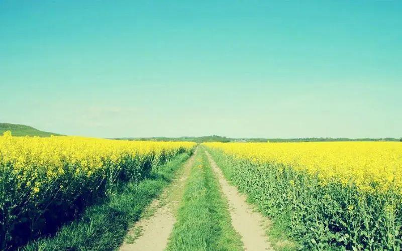 记录孩子成长的文案发圈（记录孩子的成长历程说说）